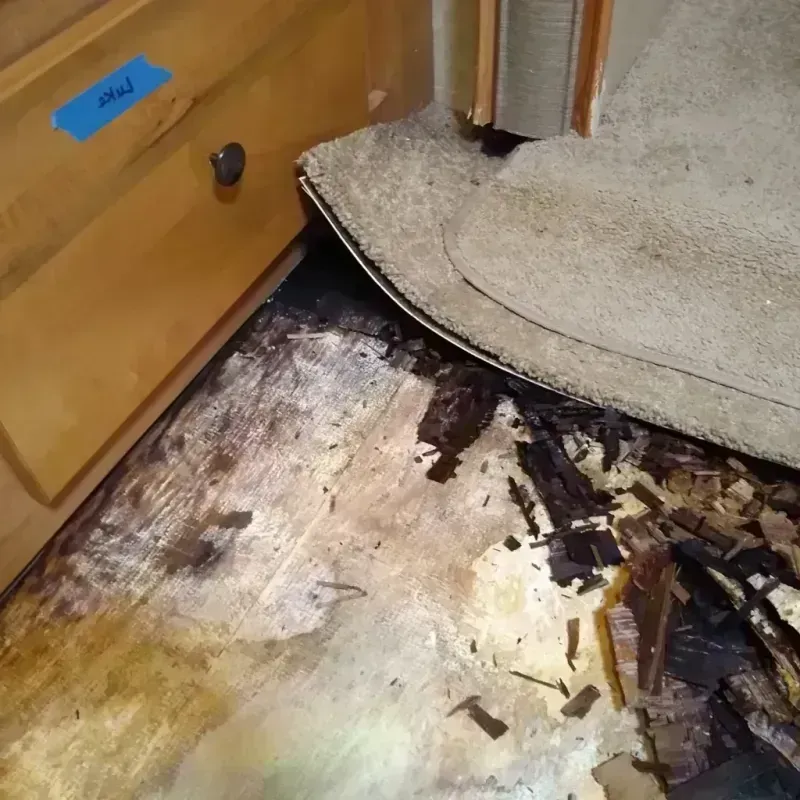 Wood Floor Water Damage in Bloomington, MN